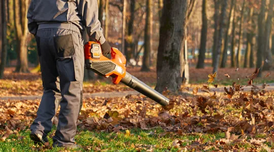 Service de Conciergerie